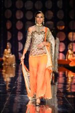 Model walk the ramp for Rina Dhaka_s bridal show in Delhi on 24th July 2013 (6).jpg